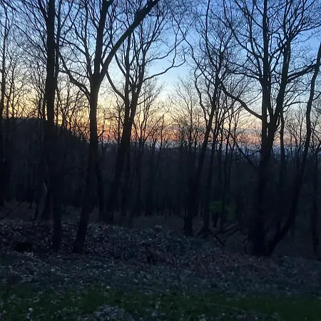 Forrest Boutique Vilă Dunabogdány