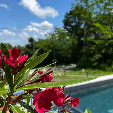 Forrest Boutique Villa Dunabogdany