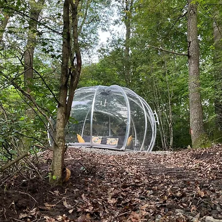 Vilă Forrest Boutique