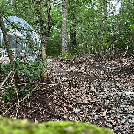 Vilă Forrest Boutique