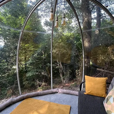 Vilă Forrest Boutique *