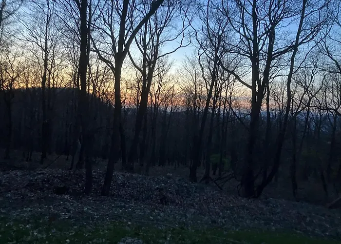 Forrest Boutique Βίλα Dunabogdány