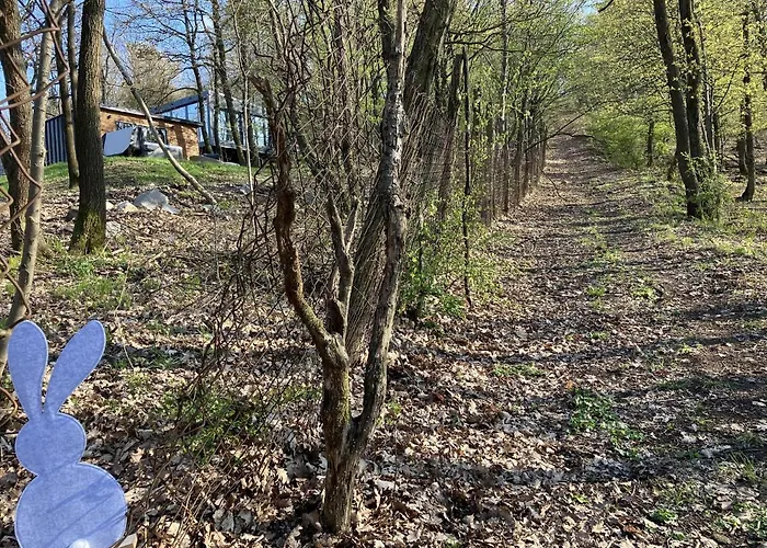 Βίλα Forrest Boutique Dunabogdány