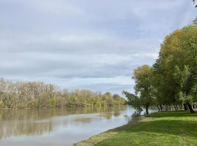 Forrest Boutique